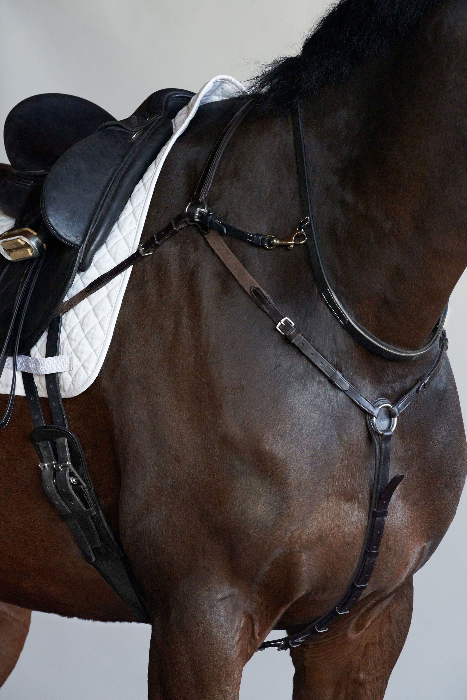 Tapestry Equine Neck Strap Tapestry Neckstrap and Attachment Neck Strap | Horse Tack | Tapestry Equine Products