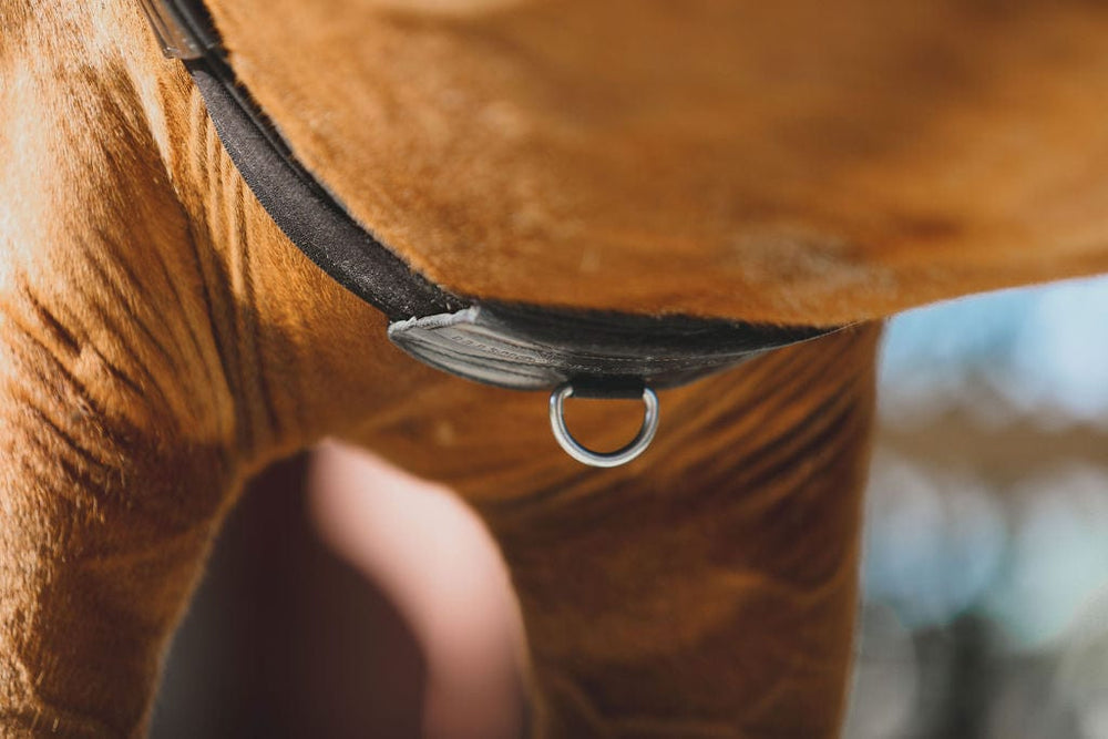 Tapestry Comfort Girths Tapestry Equine Products Inc.