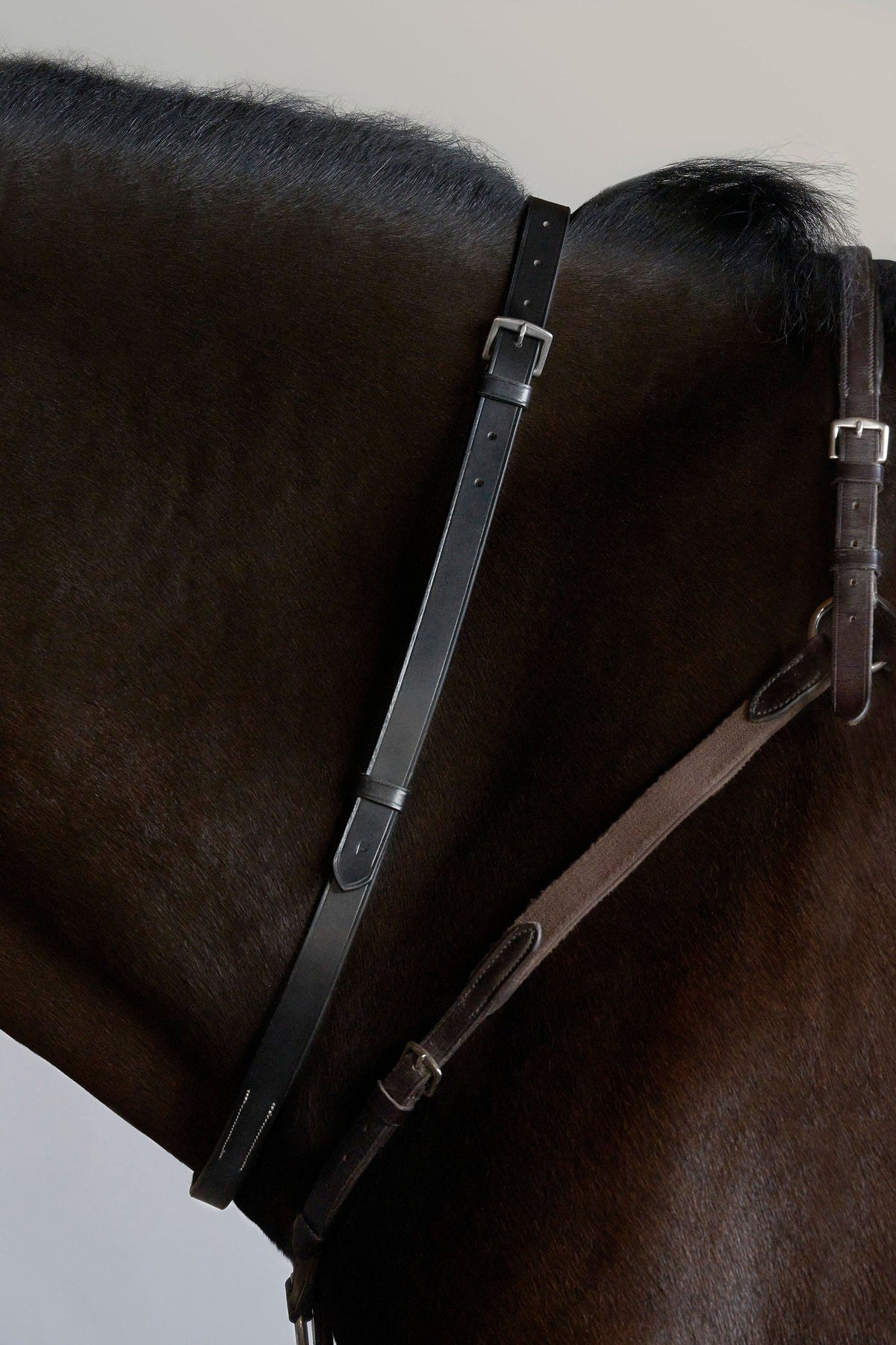 Tapestry Equine Neck Strap Tapestry Neckstrap and Attachment Neck Strap | Horse Tack | Tapestry Equine Products 