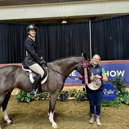 Tapestry Equine Products Inc. Girth, Pony girth, comfort Girth Tapestry Comfort Pony English Long Girth Tapestry English Comfort Girth | Horse Tack - Tapestry Equine Products Inc