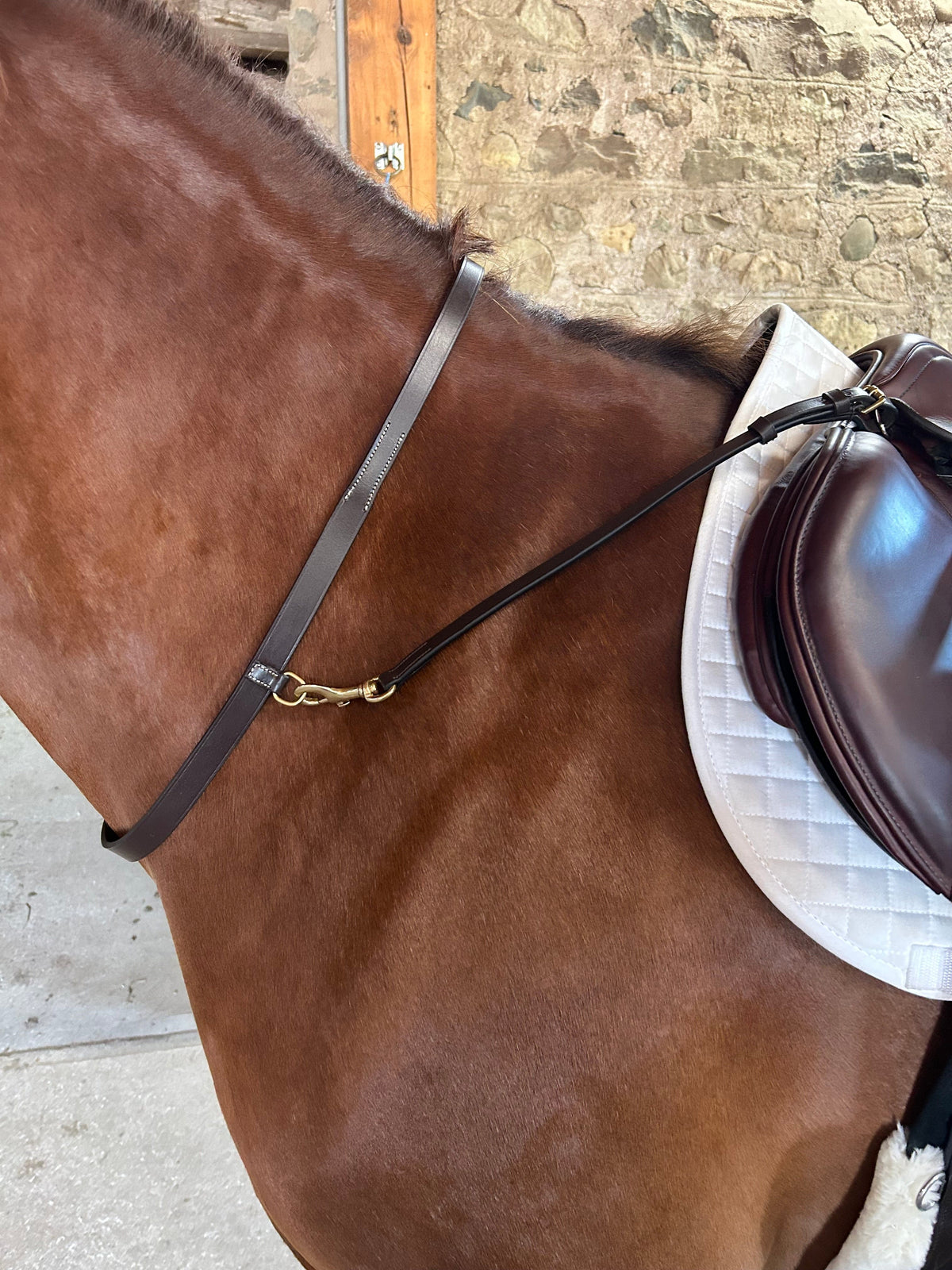Tapestry Equine Products Inc. Neck Strap Tapestry Neck Strap and 2 Attachments Neck Strap | Horse Tack | Tapestry Equine Products 
