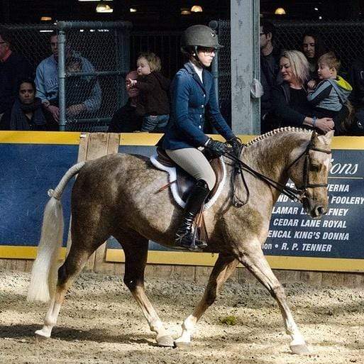 Tapestry Equine Girth Tapestry Comfort Pony English Long Girth Tapestry English Comfort Girth | Horse Tack 